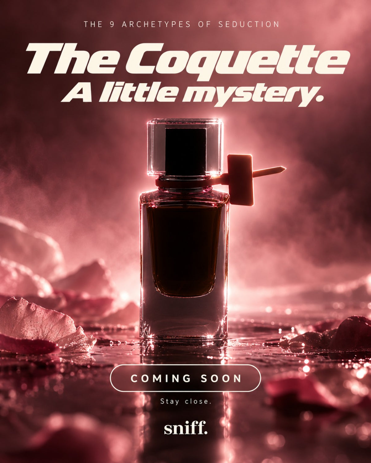 The Coquette. Coming soon.